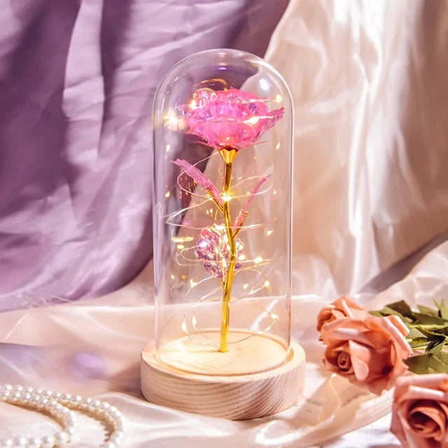 Beauty and The Beast Preserved Roses